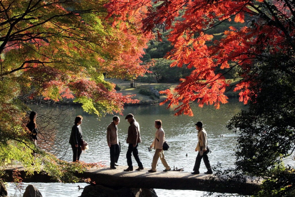 到了楓紅之季，人們前來在園內觀賞楓紅美景，感受秋意上心頭。（© TCVB）