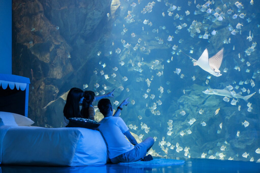 星級眠旅體驗的「宿海奇遇Blu Night」推出『Blu Night島嶼夢遊』行程，入住可享有一泊三食及欣賞海底世界，一張4999元