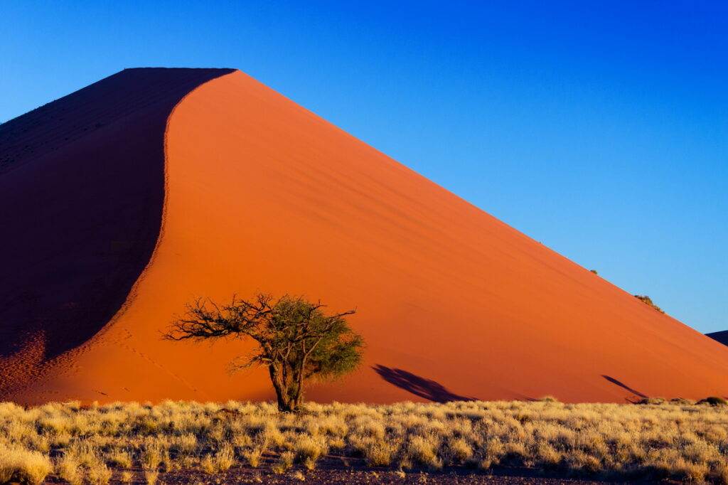 納米比亞沙漠閃耀著粉紅色光芒，是攝影家鏡頭下的天堂。（佳繽旅遊提供） 