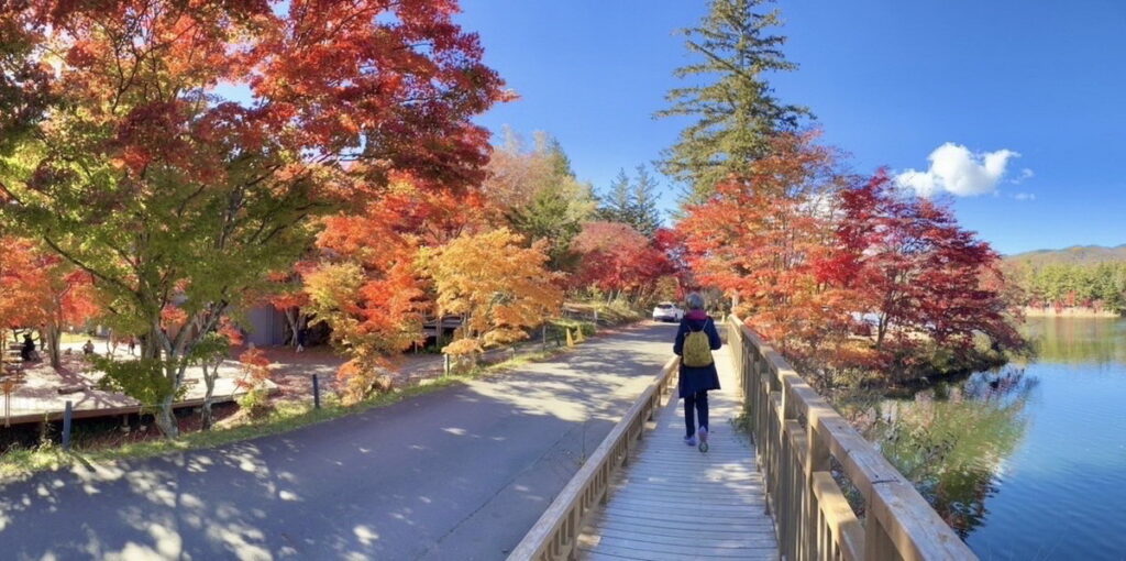 立即加入「HAPPY GO點數巨樂部」即可抽日本經典秋遊紅葉行。
