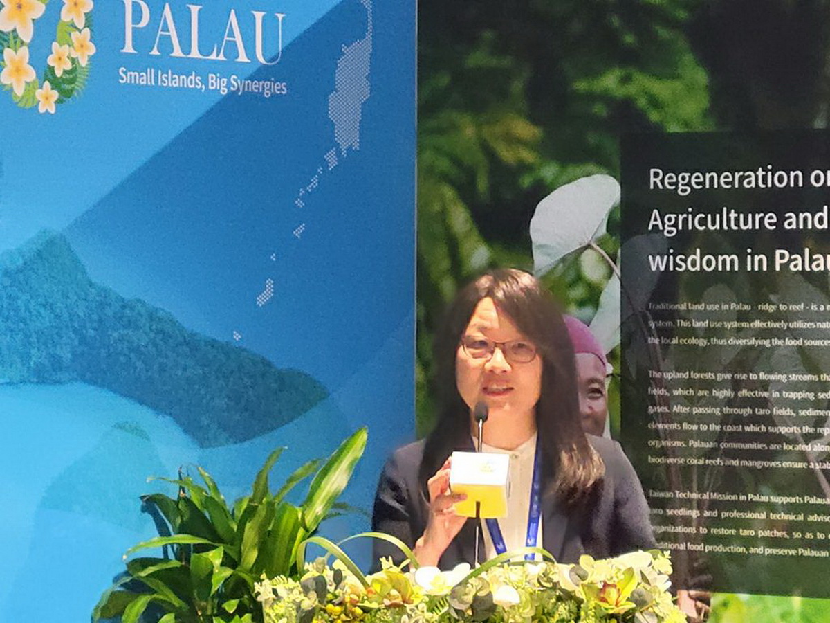 中鼎集團永續長何麗嫺出席COP28聯合國氣候變遷大會，並於「臺灣綠色經濟發展經驗」論壇發表演說。