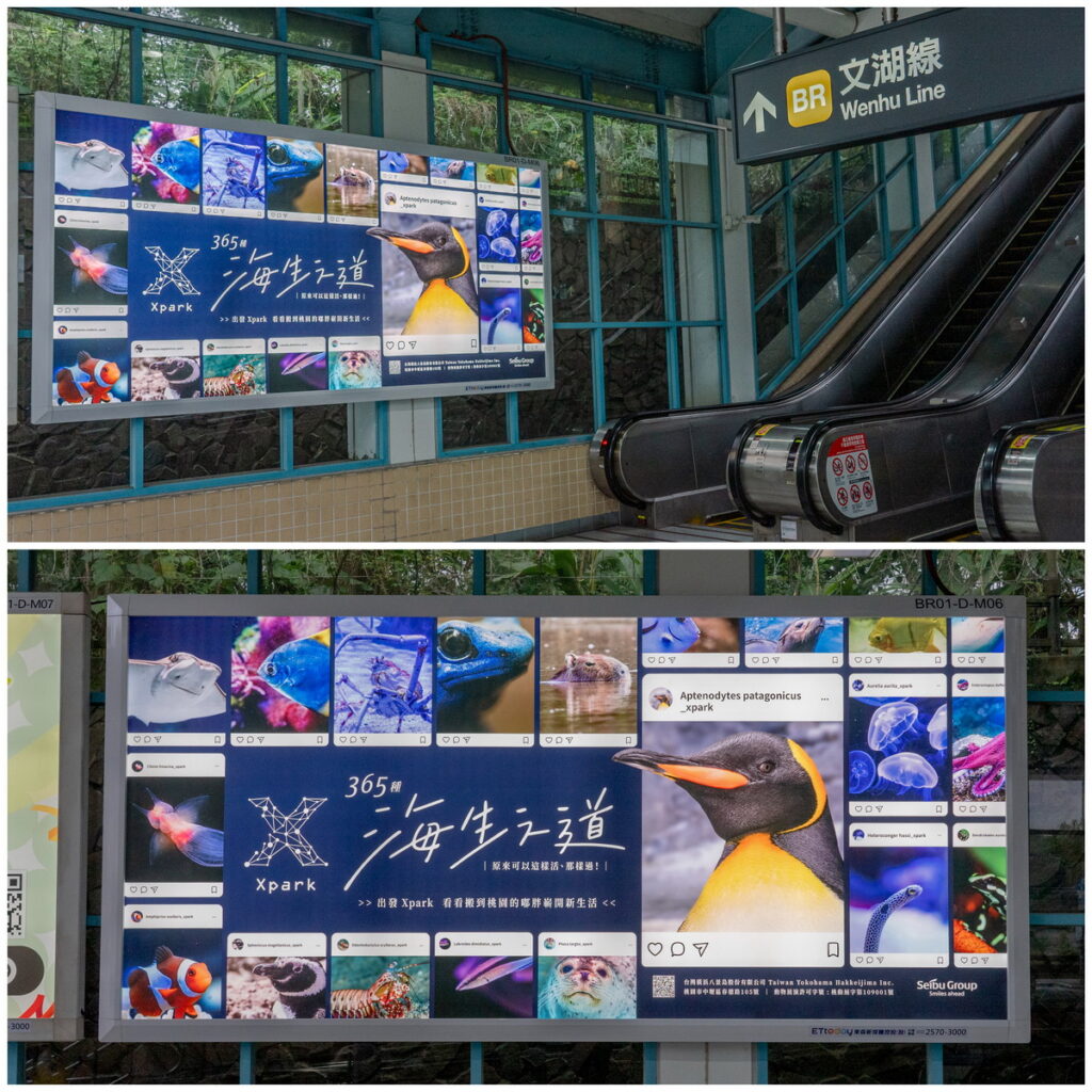 Xpark 365種海生之道_台北捷運站點嶄新揭露(圖為 動物園站)