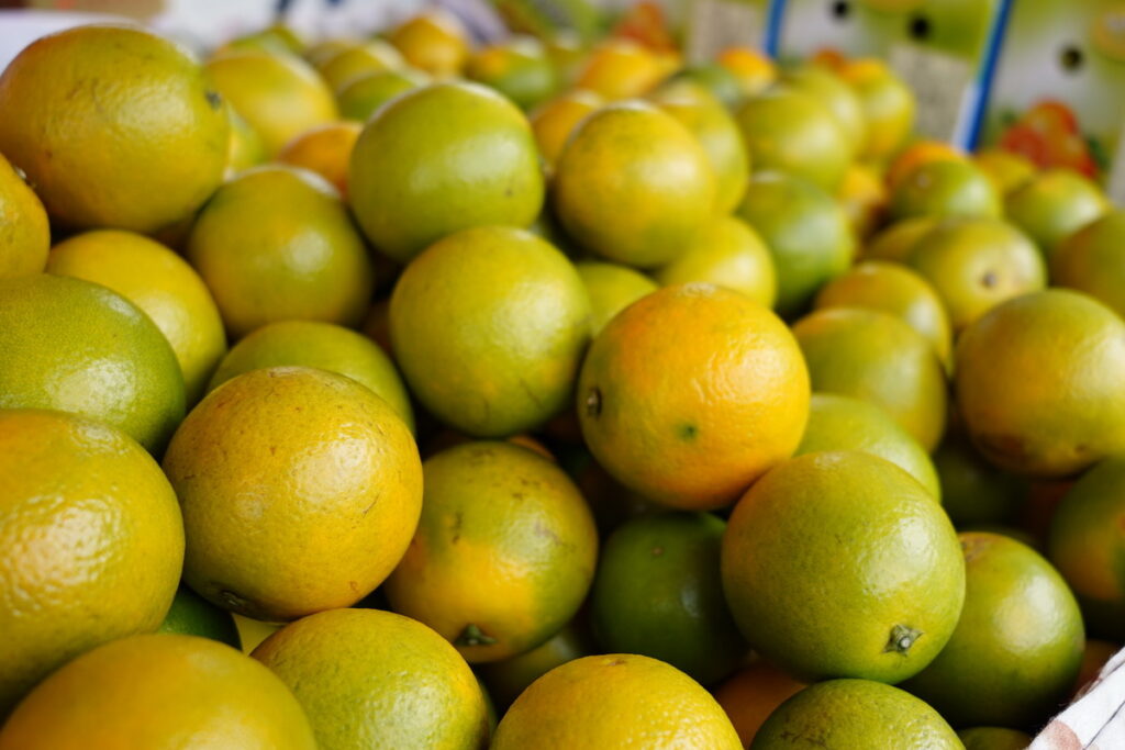 本周(12月9-10日)南投縣農會為花博農民市集帶來當季盛產的柳丁參加展售活動