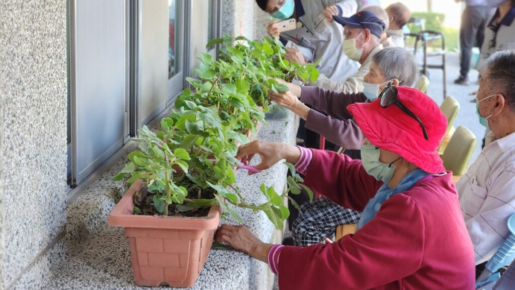 長者參與撿菜活動（圖/陳惠玲攝影）