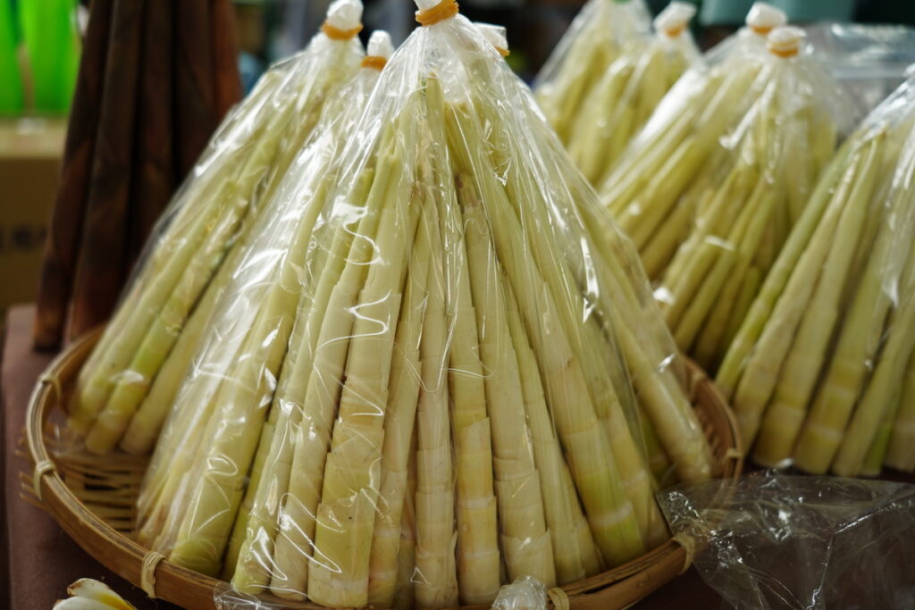 花蓮箭筍外觀呈細長狀，因形似箭而得其名