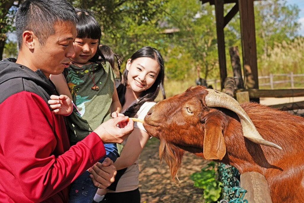 草原歷險適合各年齡層遊客，帶你探訪六福村動物王國各物種的棲息地