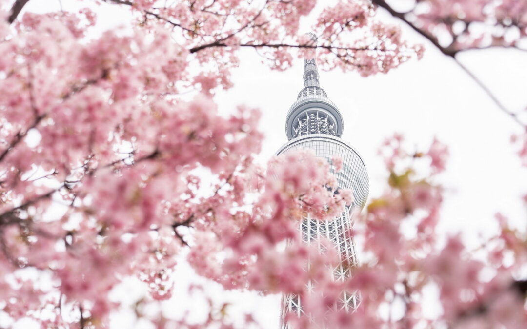 探索春日風情！SKYTREE ENJOY PACK優惠套票 暢玩東京晴空塔與周邊必去景點