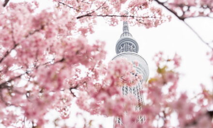探索春日風情！SKYTREE ENJOY PACK優惠套票 暢玩東京晴空塔與周邊必去景點