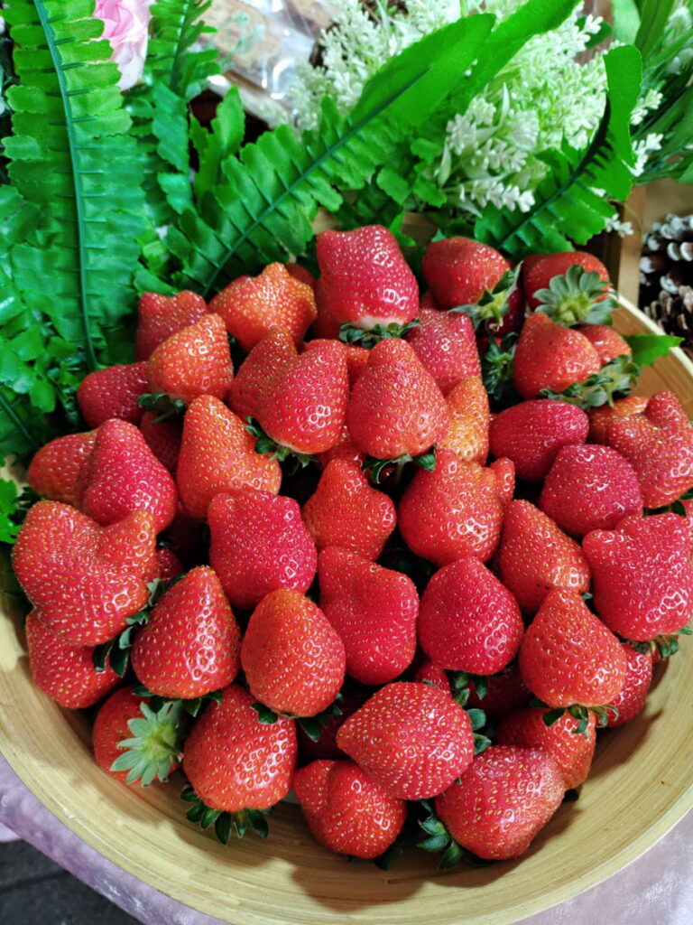 莓好時光-鮮採莓趣