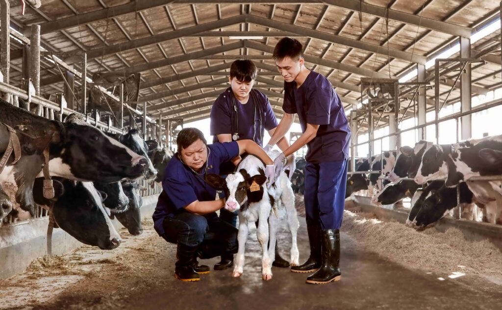 開元食品與屏科大合作推動「乳牛牧場全面健檢計畫」，為旗下契約酪農進行完整總體檢，提升環境友善、乳牛健康及生乳品質。