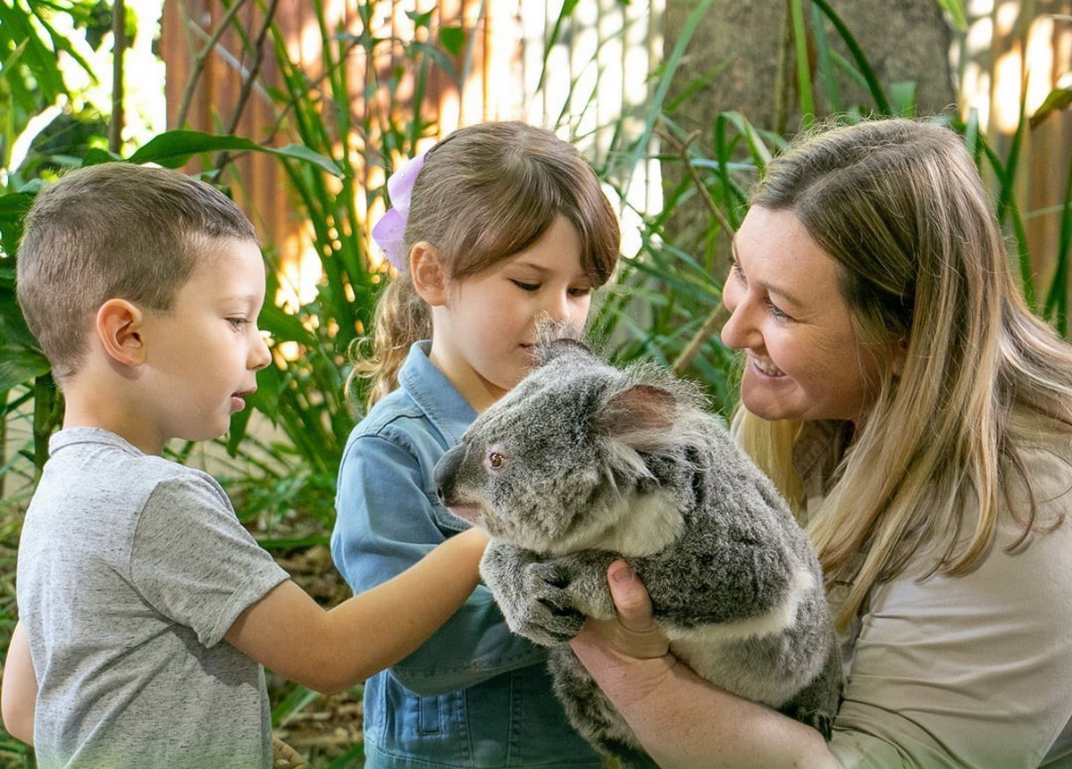 澳洲親子團｜庫倫賓動物園