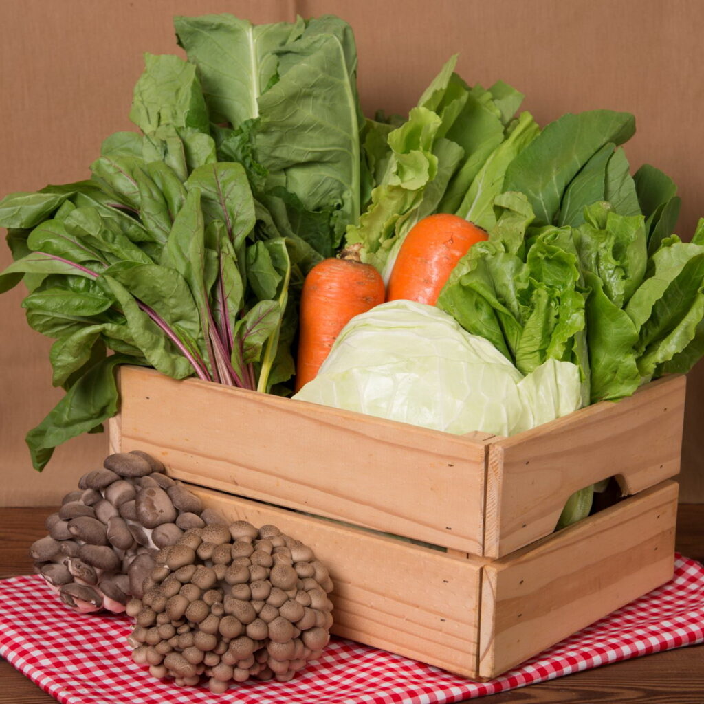 里仁有機通路天天提供最受歡迎的有機蔬菜。(里仁公司提供)