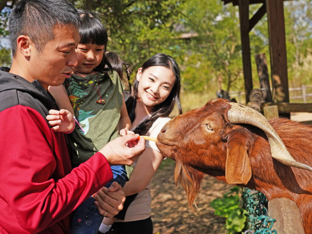 關西六福莊邀請遊客以親近動物建立愛護生態之心，首推全齡層皆友善的「草原歷險」