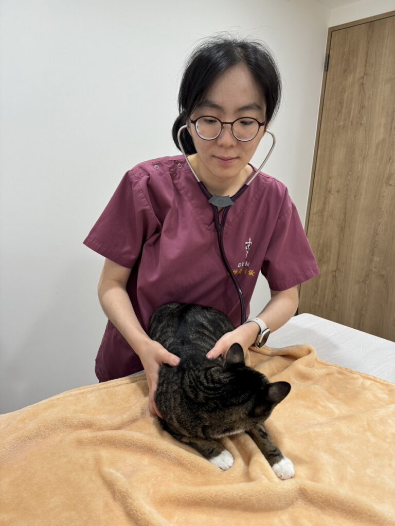 精準的體重管理計畫，會因貓犬的品種、年齡、性別、健康狀況以及是否有絕育的情況不同，需由獸醫師診斷與評估 (圖片來源：小王子動物醫院)