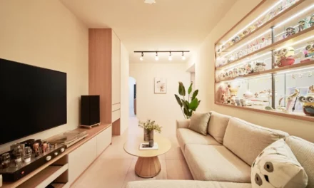 打造理想的收藏展示空間，讓居家設計更具個性與溫度