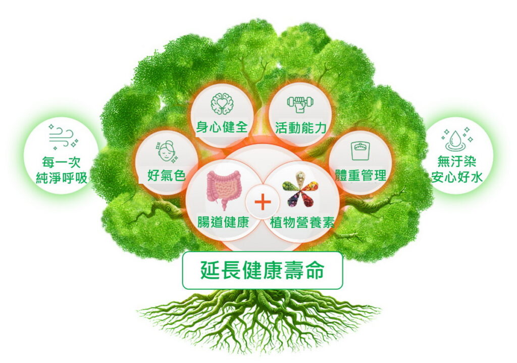 植物營養素能為好菌提供養分，有助維持腸道微生物群多樣性與平衡
