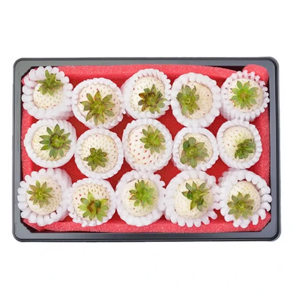 【合家歡草莓園】水耕白草莓草莓界愛馬仕，100g X1盒裝 優惠價510元