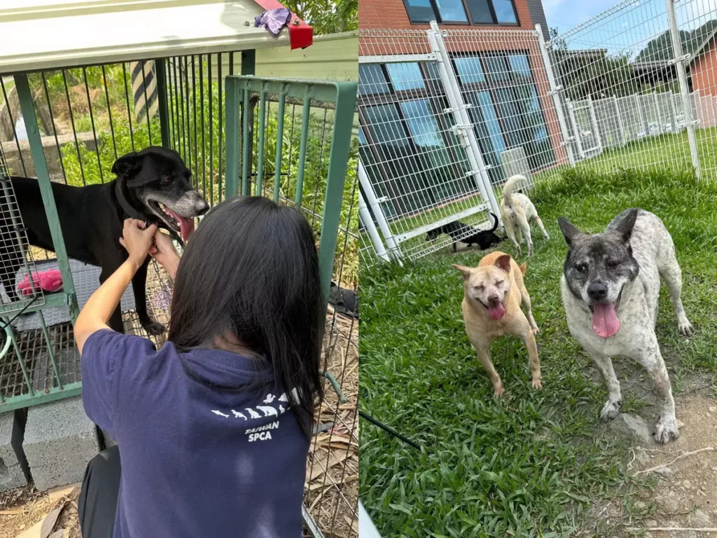 法國皇家擴大公益規模，今年與Taiwan SPCA 台灣防止虐待動物協會合作，落實「尊重生命，終養不棄養」的理念。