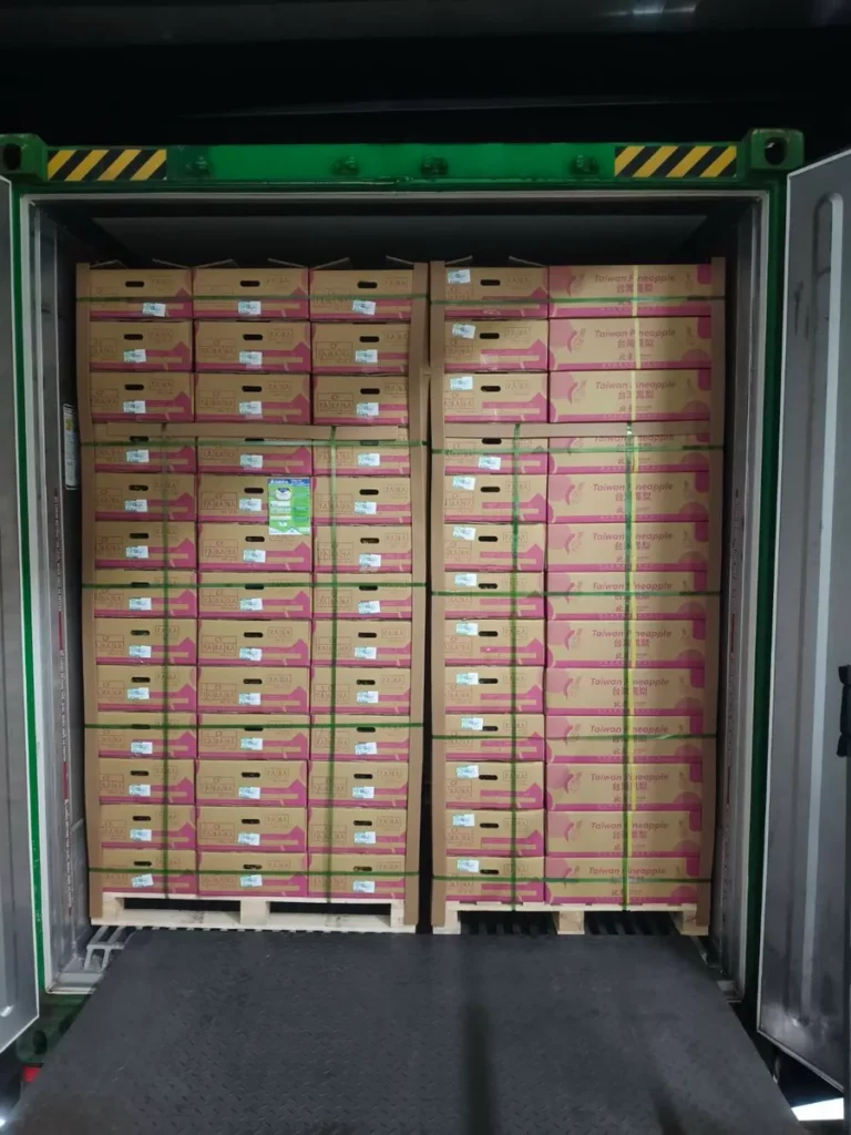 北農持續拓展臺灣優質農產品外銷市場，2個月期間出口到日本的鳳梨到（22）日已來到35櫃