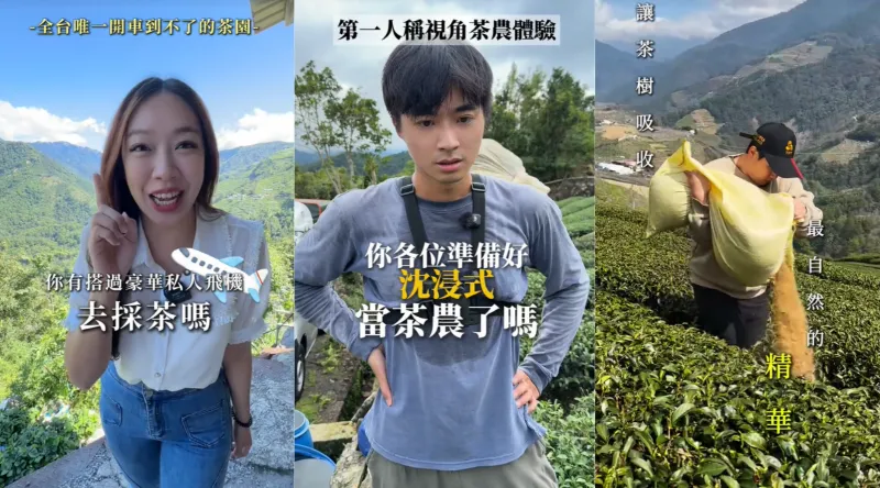 TikTok 創作者以短影音分享台灣茶園實作與製茶工法,協助用戶探索台灣茶文化魅力。(由圖左至圖右為 TikTok 創作者瑜妹瑜哥台灣茶 @goodtea1314、尚德茶堂 @sundetea、阿騰還是在梨山搞烏龍 @weiteng351)
