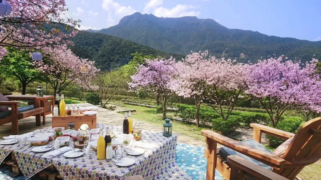 想在不出國的情況下展開一場療癒自駕小旅行，「陽明山」絕對是最適合說走就走的目的地之一。（圖片由 Booking.com 提供）