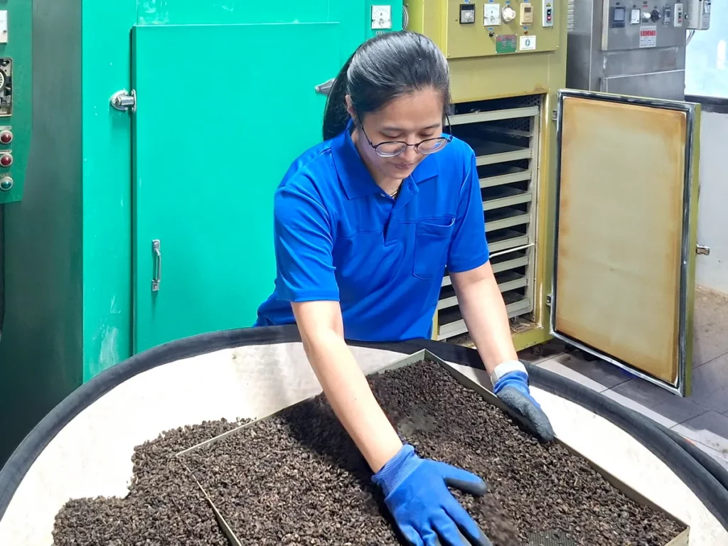張雅涵勇奪木柵區農會115年度春季優良鐵觀音茶比賽特得獎。木柵區農會提供