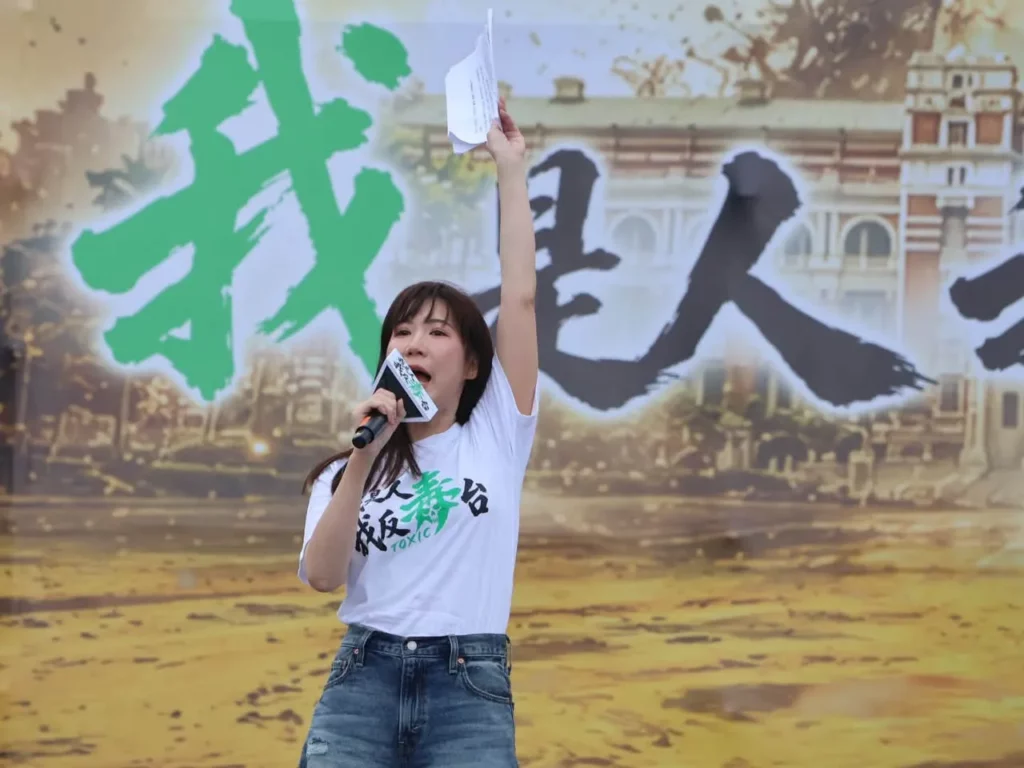20萬人民憤怒不是被動員出來的 柳采葳神諷：別的國家食安是查源頭 台灣食安是「鍛鍊腸胃」