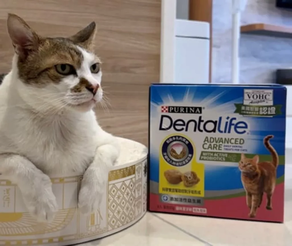 「普瑞納 DENTALIFE 貓咪潔牙餅」每顆僅 1.4 大卡，並添加活性益生菌、牛磺酸及鈣質