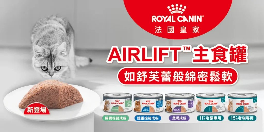 換季喝水量下降 貓犬補水這樣做！法國皇家分享3大補水妙招