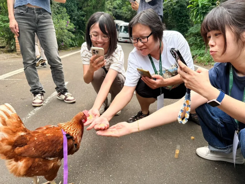 走進產地學食農！開平餐飲主廚盃教師研習深化跨域教學 協助國中教師認識食材、探索餐飲並精進教學